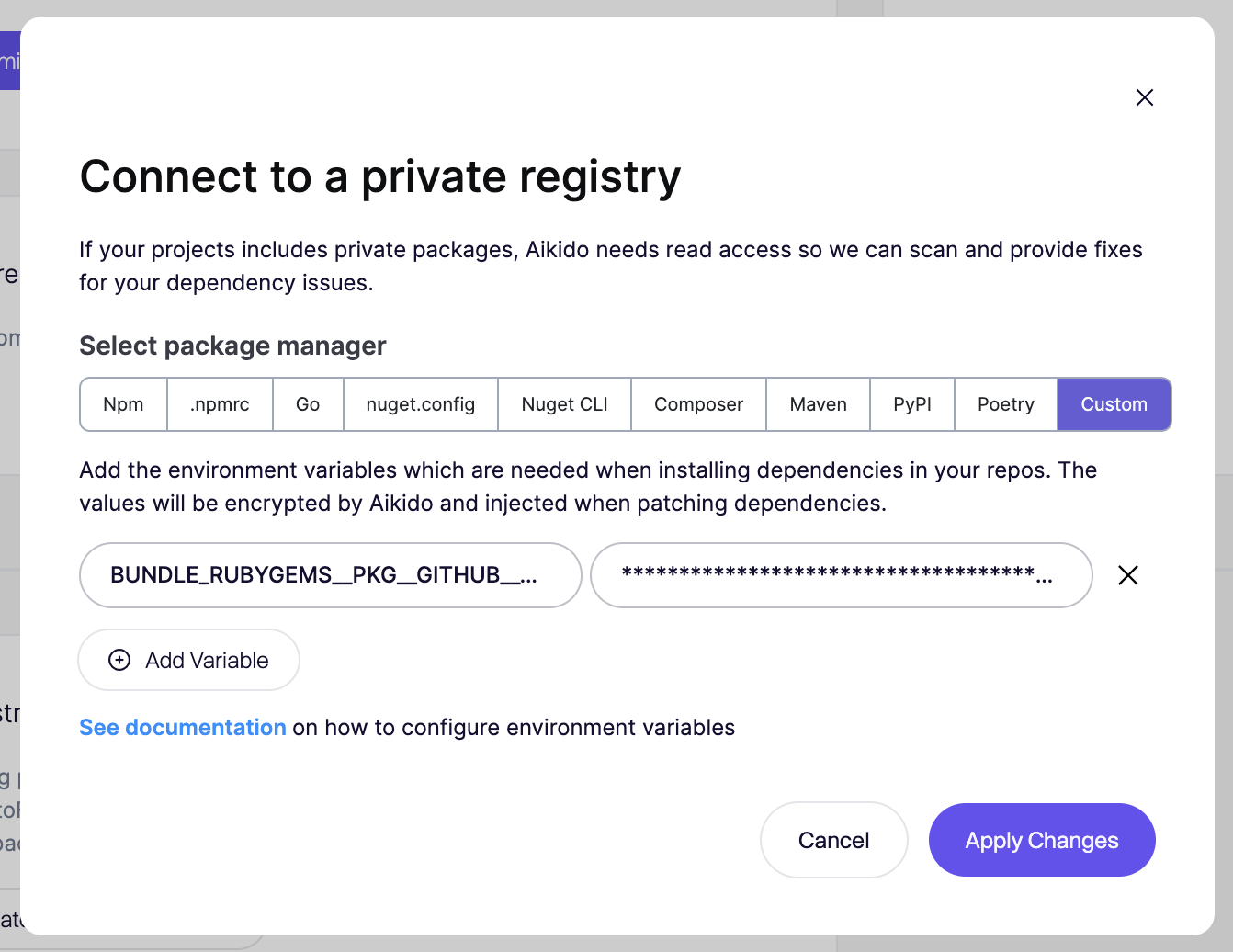 Configure environment variables to connect Aikido with a private package registry.